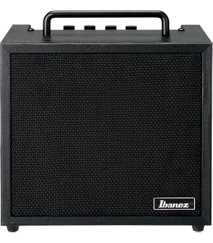 Hartke A25 ベースアンプ Hartke A25 Bass Combo Amplifier, 25W, 8